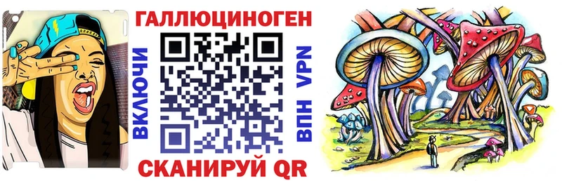 Купить где  Каспийск  Галлюциногенные грибы мицелий 